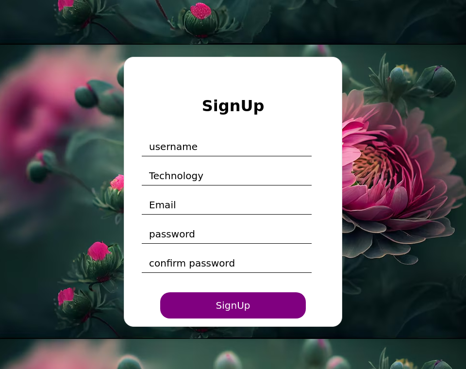 signup form using html and pure css